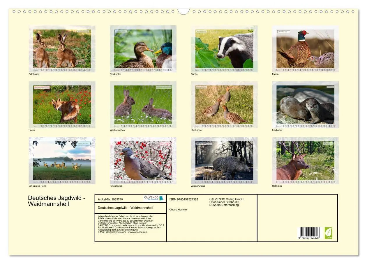 Bild: 9783457521328 | Deutsches Jagdwild - Waidmannsheil (Wandkalender 2026 DIN A2 quer),...