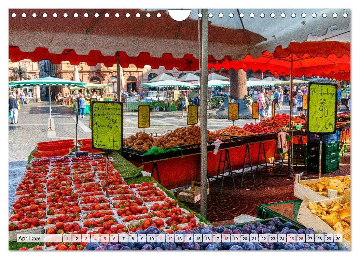Bild: 9783457821428 | Mainz - Lebensfreude in RheinKultur (Wandkalender 2026 DIN A4...