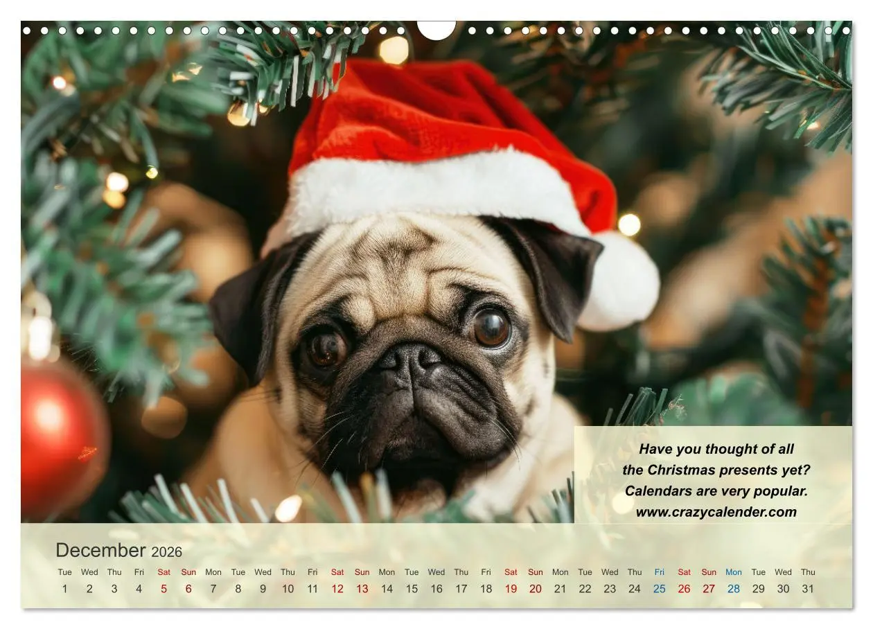 Bild: 9783516531428 | Great fun for pug lovers (Wall Calendar 2026 DIN A3 landscape),...