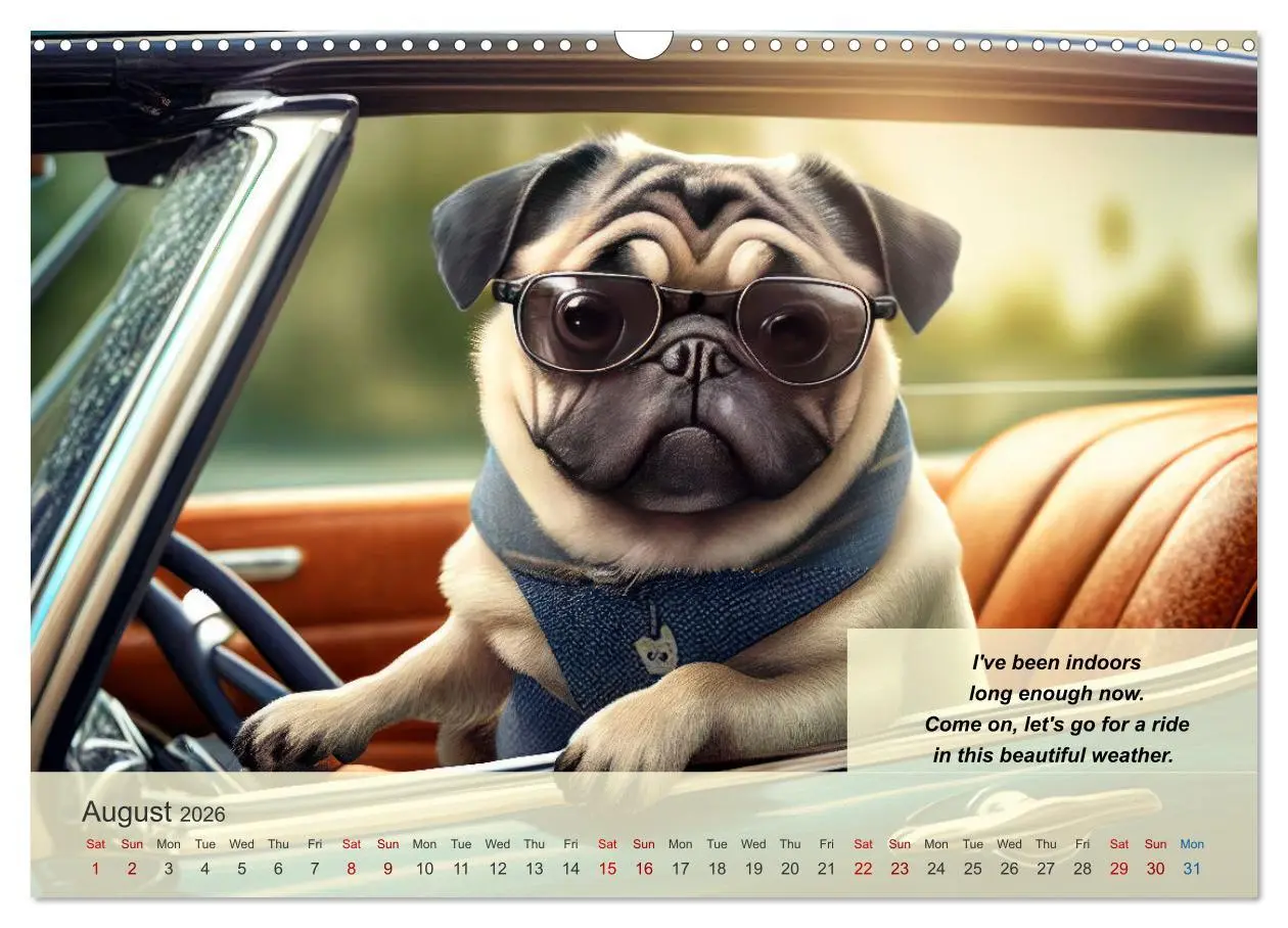 Bild: 9783516531428 | Great fun for pug lovers (Wall Calendar 2026 DIN A3 landscape),...