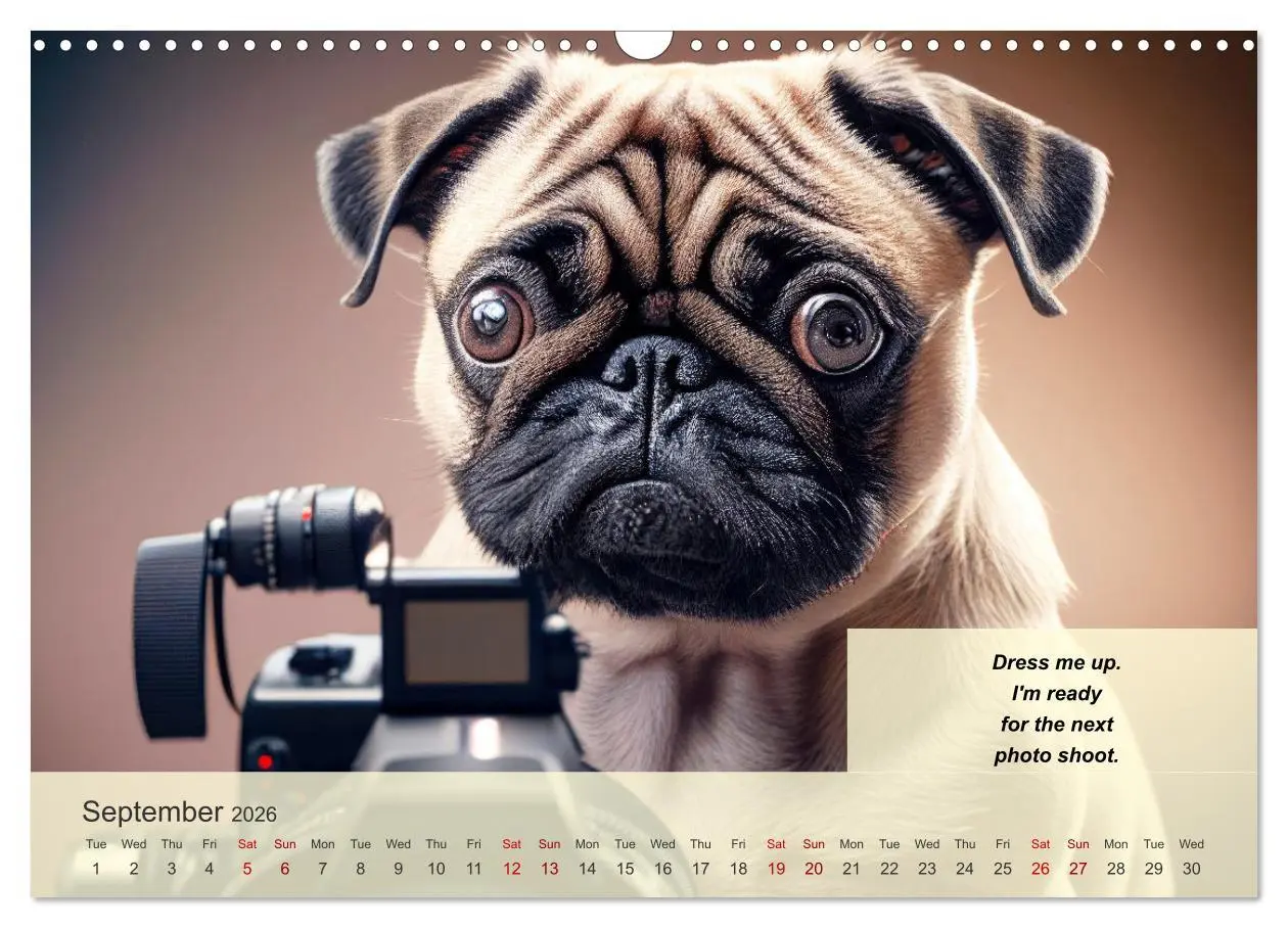 Bild: 9783516531428 | Great fun for pug lovers (Wall Calendar 2026 DIN A3 landscape),...