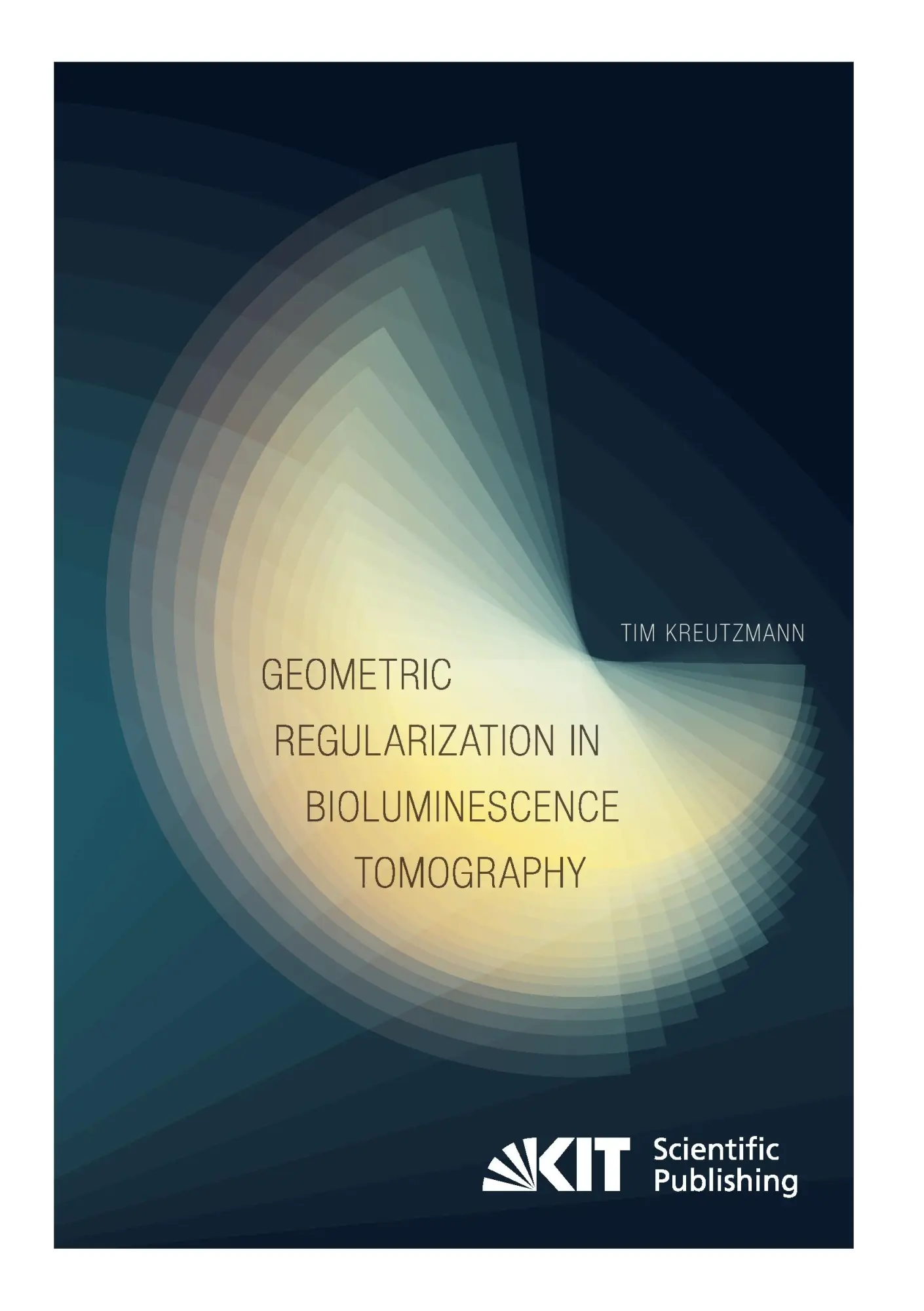 Geometric Regularization in Bioluminescence Tomography - Tim Kreutzmann Kartoniert (TB)