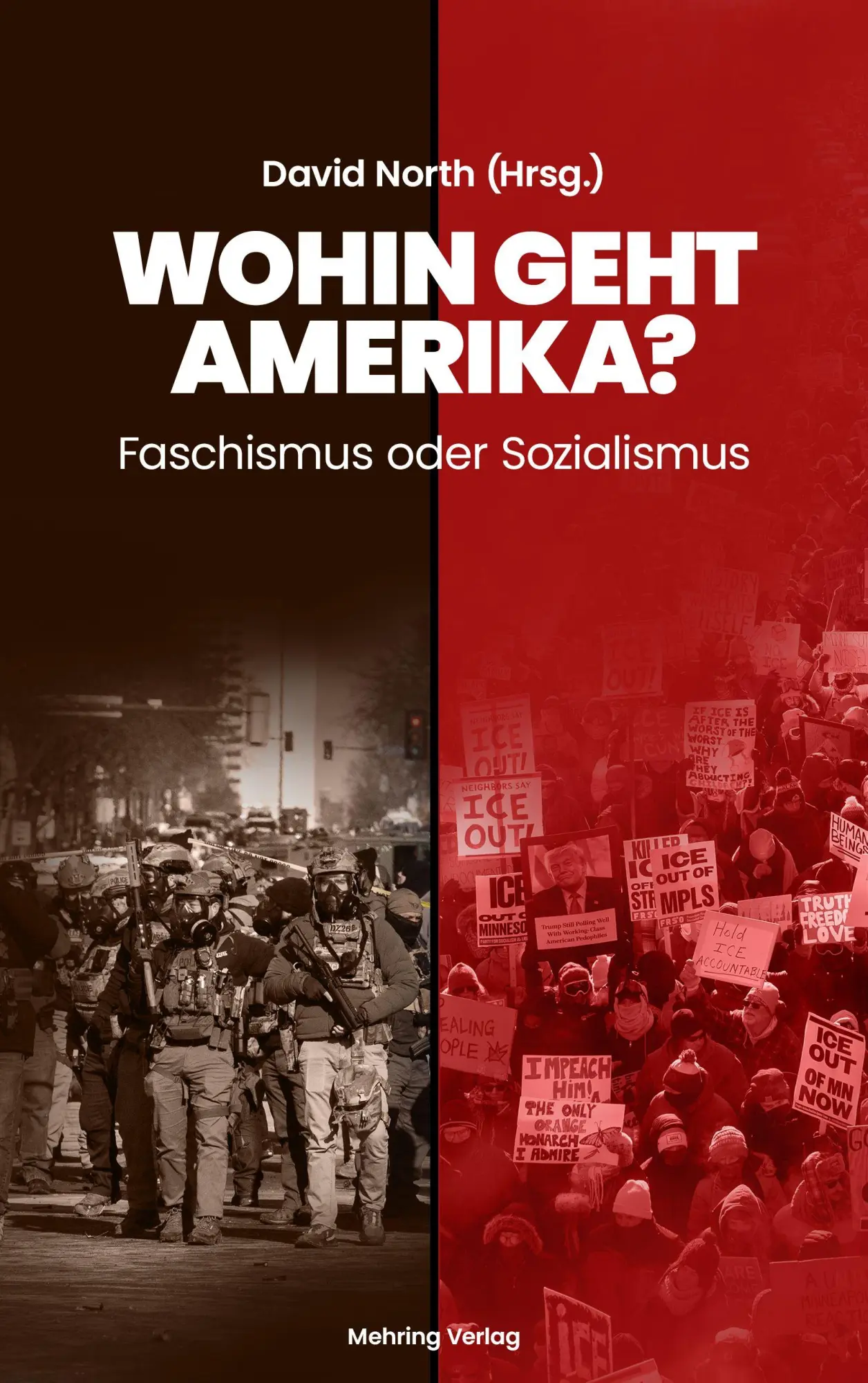 Cover: 9783886341528 | Wohin geht Amerika? | Faschismus oder Sozialismus | David North | Buch