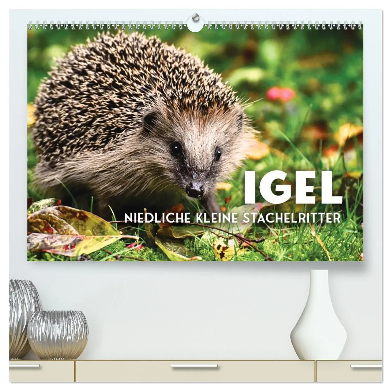 Cover: 9783457421628 | Igel - Niedliche kleine Stachelritter (hochwertiger Premium...