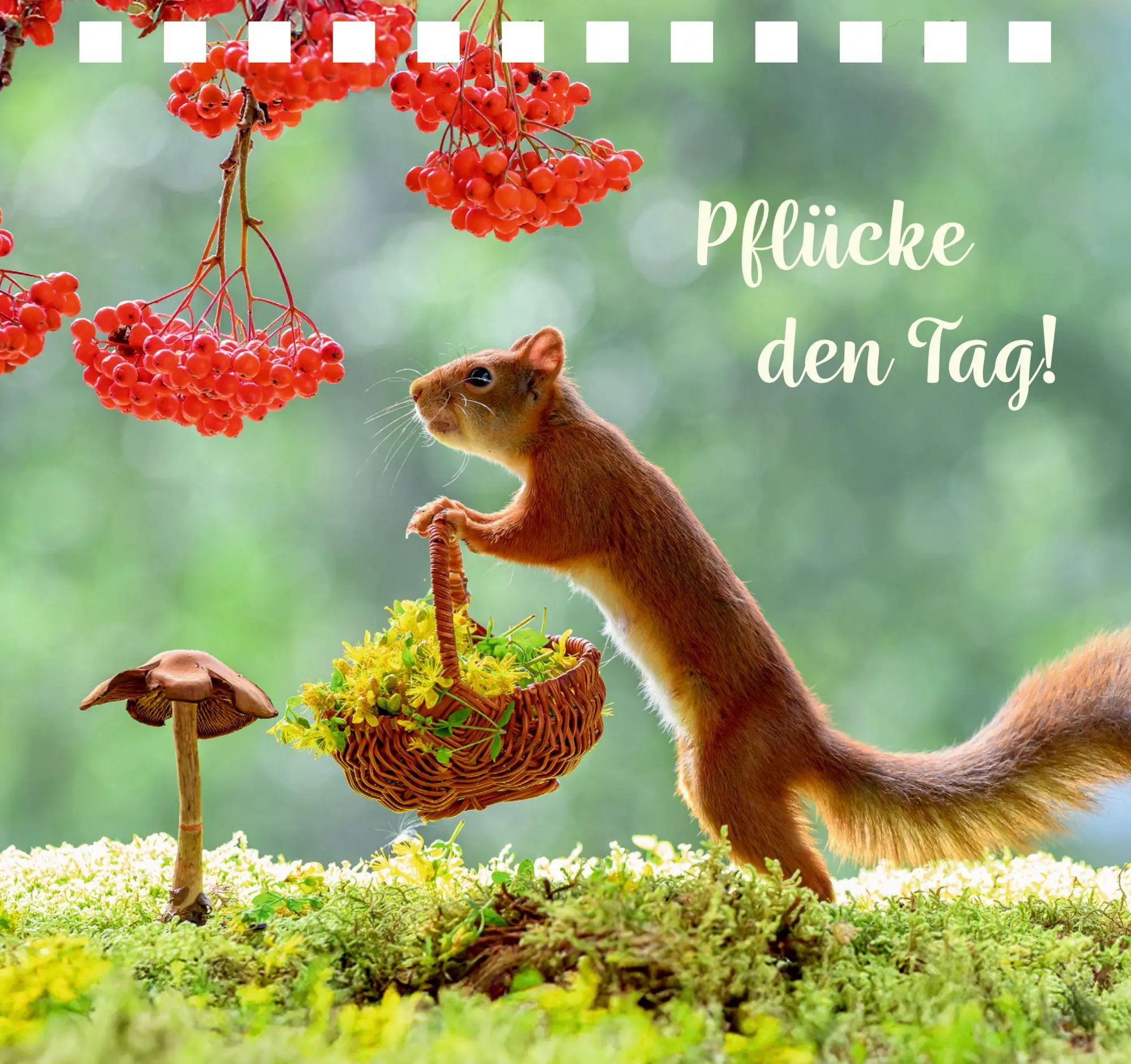 Bild: 9783649651628 | Einfach gute Wünsche | Geert Weggen | Taschenbuch | 176 S. | Deutsch