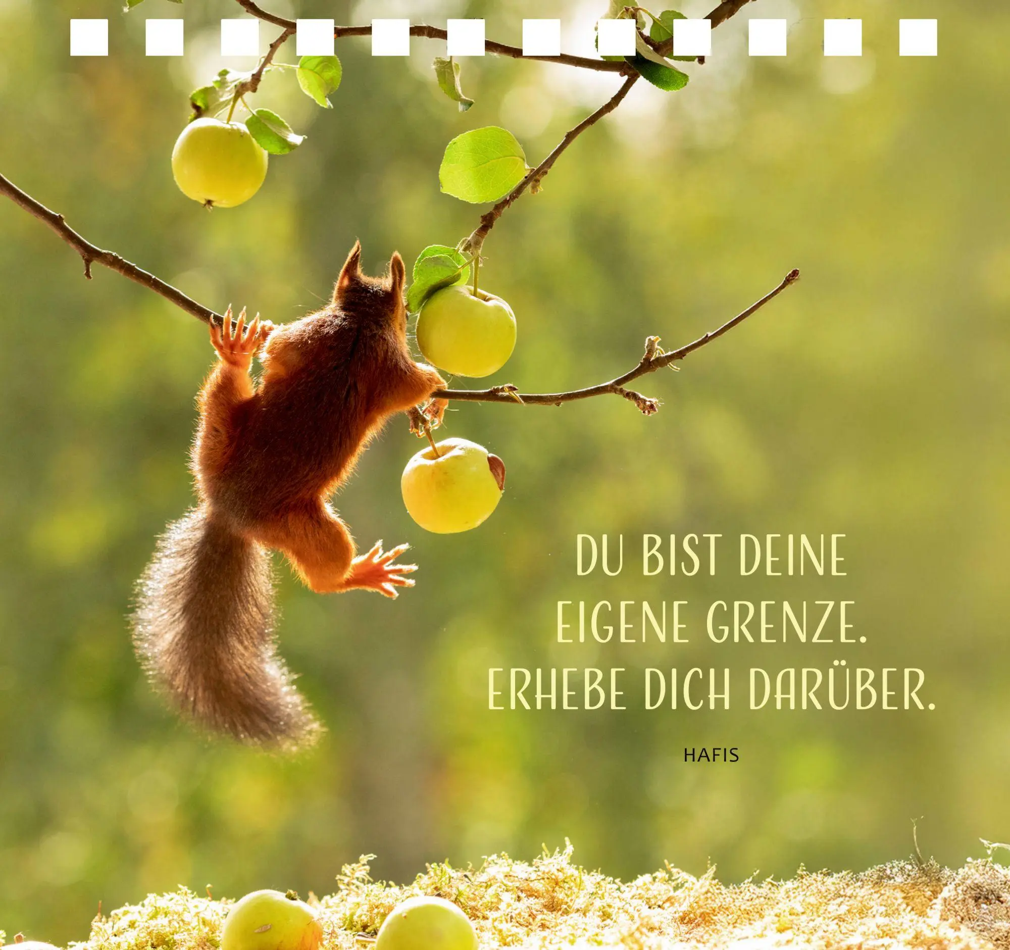 Bild: 9783649651628 | Einfach gute Wünsche | Geert Weggen | Taschenbuch | 176 S. | Deutsch