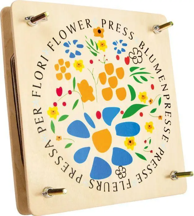Cover: 4020972081728 | Blumenpresse | small foot | 8172 | Deutsch | 2023 | EAN 4020972081728
