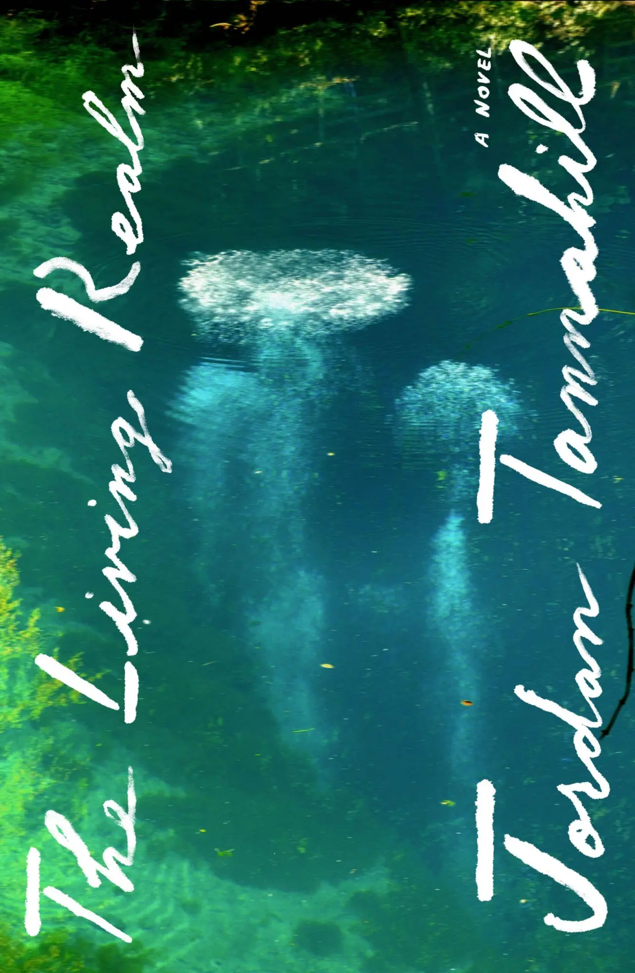 Cover: 9780374621728 | The Living Realm | Jordan Tannahill | Buch | Englisch | 2026