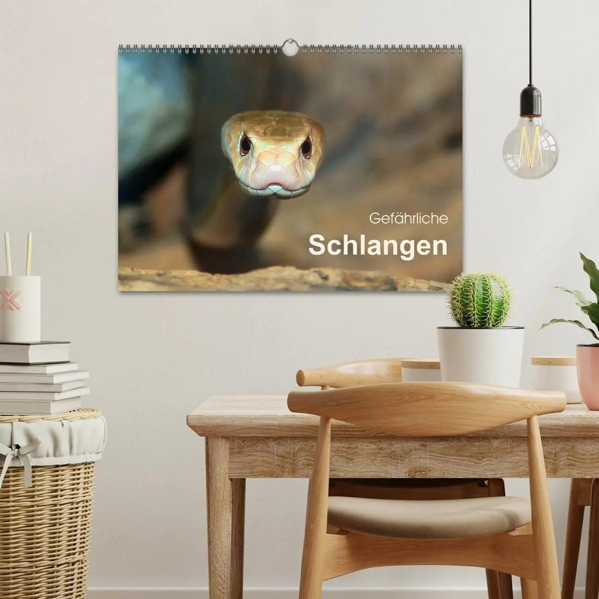 Bild: 9783516051728 | Gefährliche Schlangen (Wandkalender 2026 DIN A3 quer), CALVENDO...