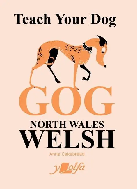 Cover: 9781800991828 | Teach Your Dog Gog | North Wales Welsh | Anne Cakebread | Taschenbuch