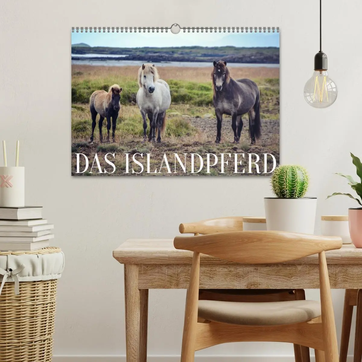Bild: 9783457641828 | Das Islandpferd (Wandkalender 2026 DIN A3 quer), CALVENDO...