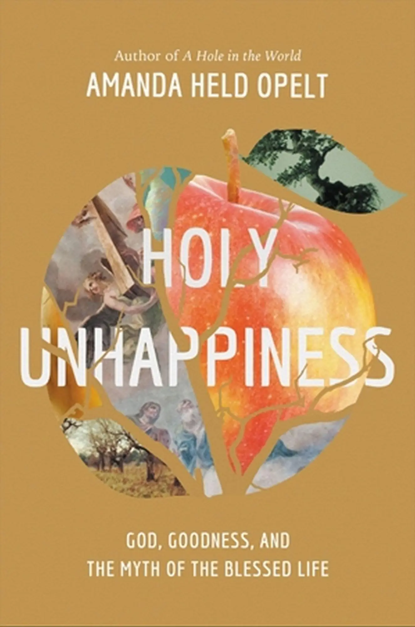 Cover: 9781546001928 | Holy Unhappiness | God, Goodness, and the Myth of the Blessed Life
