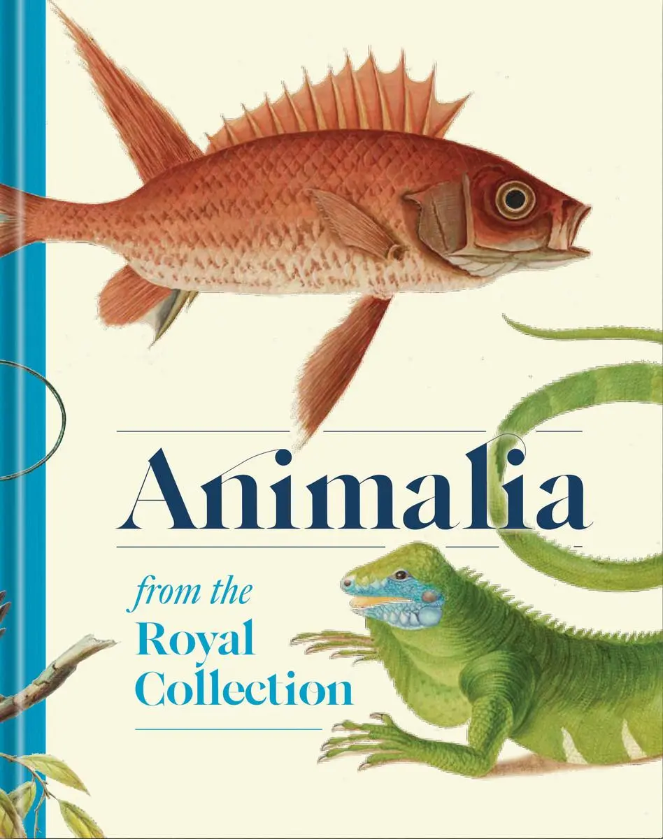 Cover: 9781909741928 | Animalia | From the Royal Collection | Andrew Brown | Buch | Englisch
