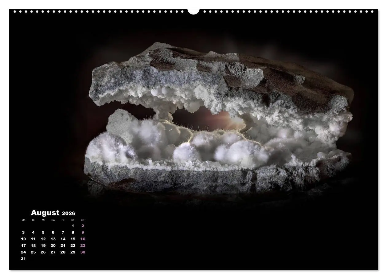 Bild: 9783457871928 | MINERALIEN designed by nature (Wandkalender 2026 DIN A2 quer),...