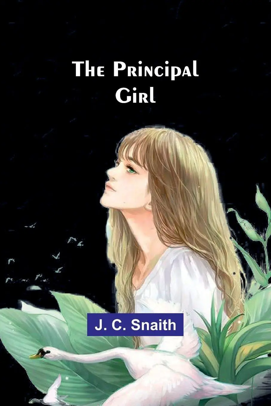 Cover: 9789362511928 | The principal girl | J. C. Snaith | Taschenbuch | Englisch | 2024