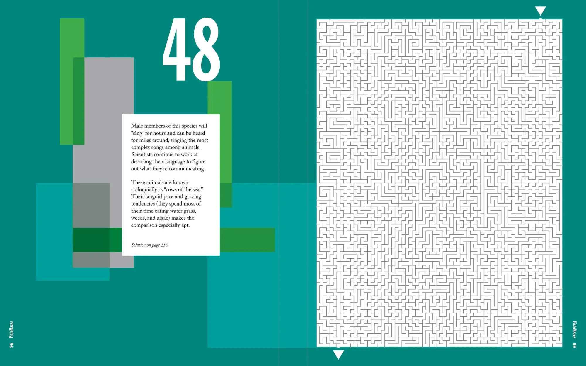 Bild: 9781523502028 | Pictomazes | Find 72 Hidden Animals! | Nikoli Publishing (u. a.)