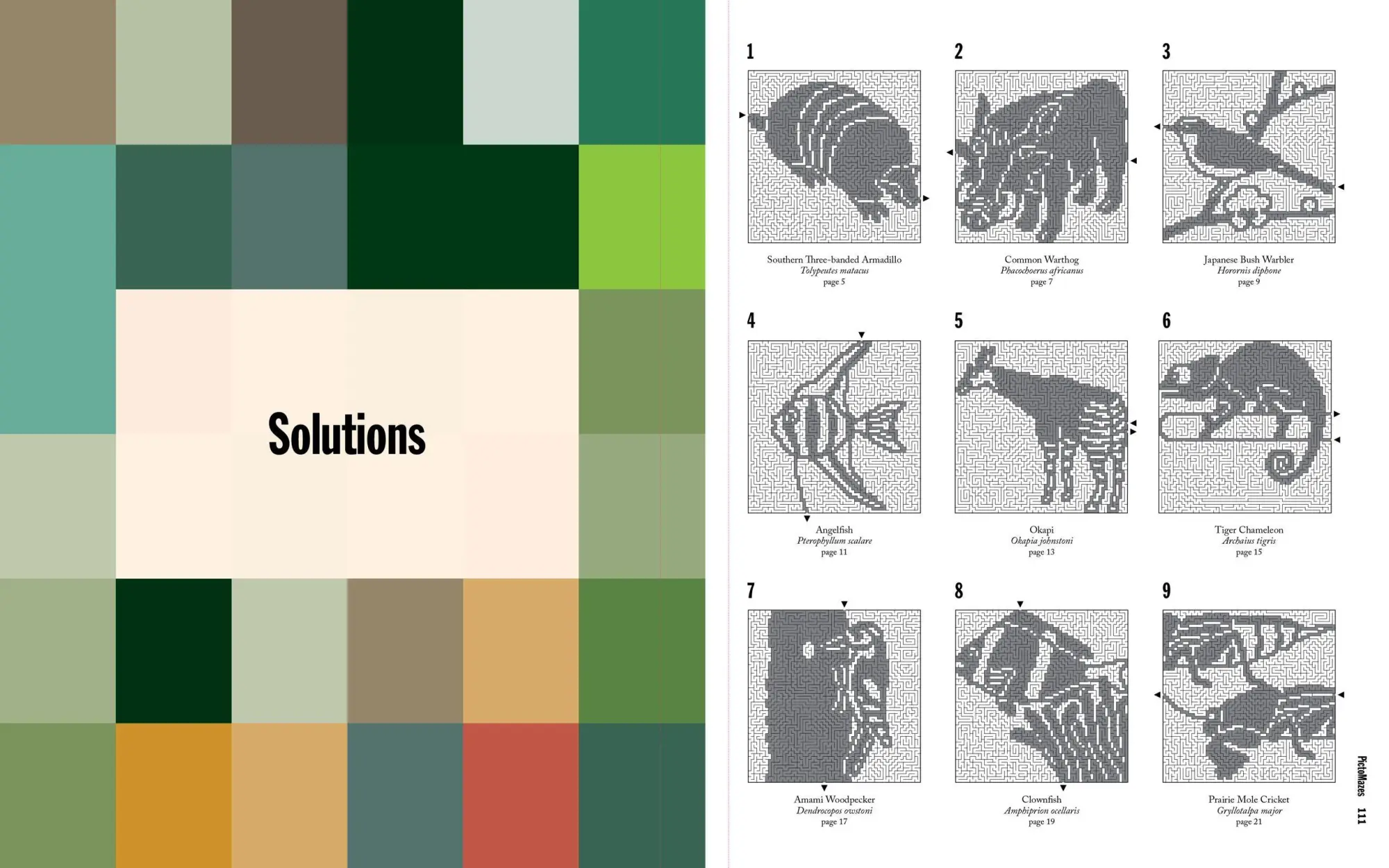 Bild: 9781523502028 | Pictomazes | Find 72 Hidden Animals! | Nikoli Publishing (u. a.)