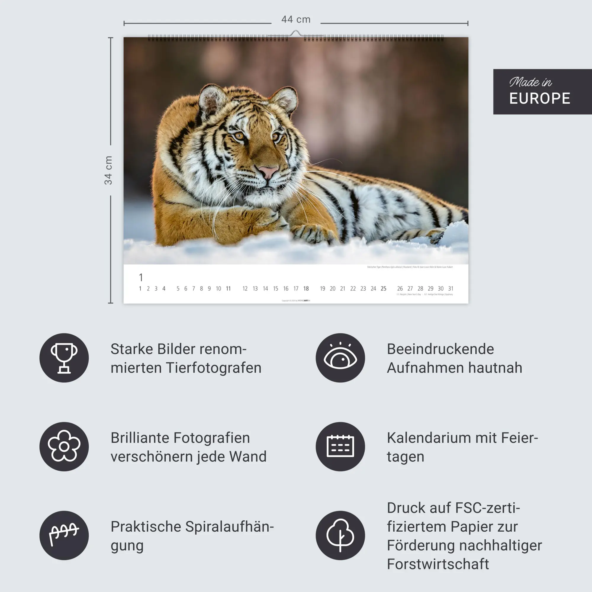 Bild: 9783839902028 | Tiger Kalender 2026 | Kalender | Tierkalender Weingarten | 14 S.