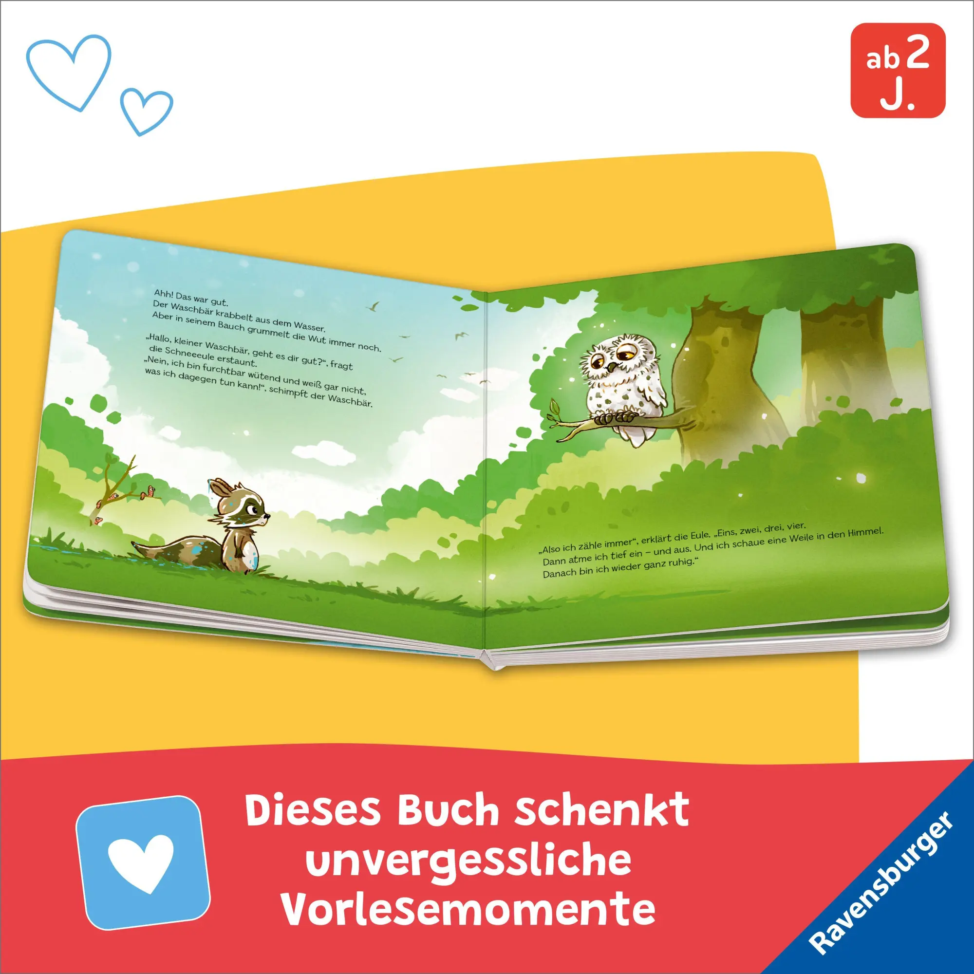 Bild: 9783473422128 | Wenn liebe Waschbären wütend sind | Sandra Grimm | Buch | 24 S. | 2026