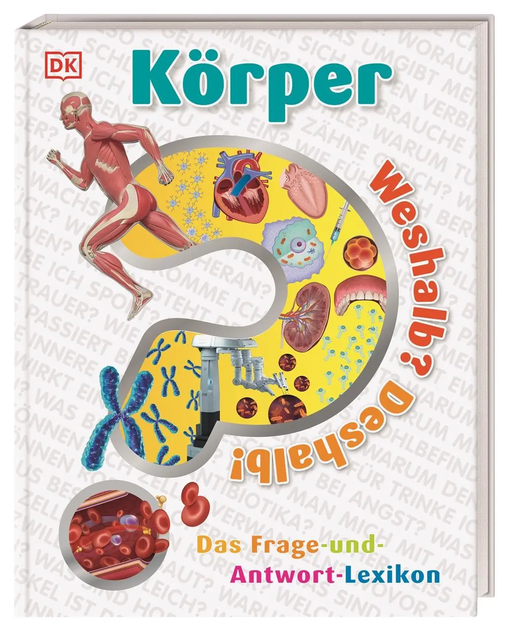 Cover: 9783831042128 | Weshalb? Deshalb! Körper | Emily Dodd | Buch | Weshalb? Deshalb!