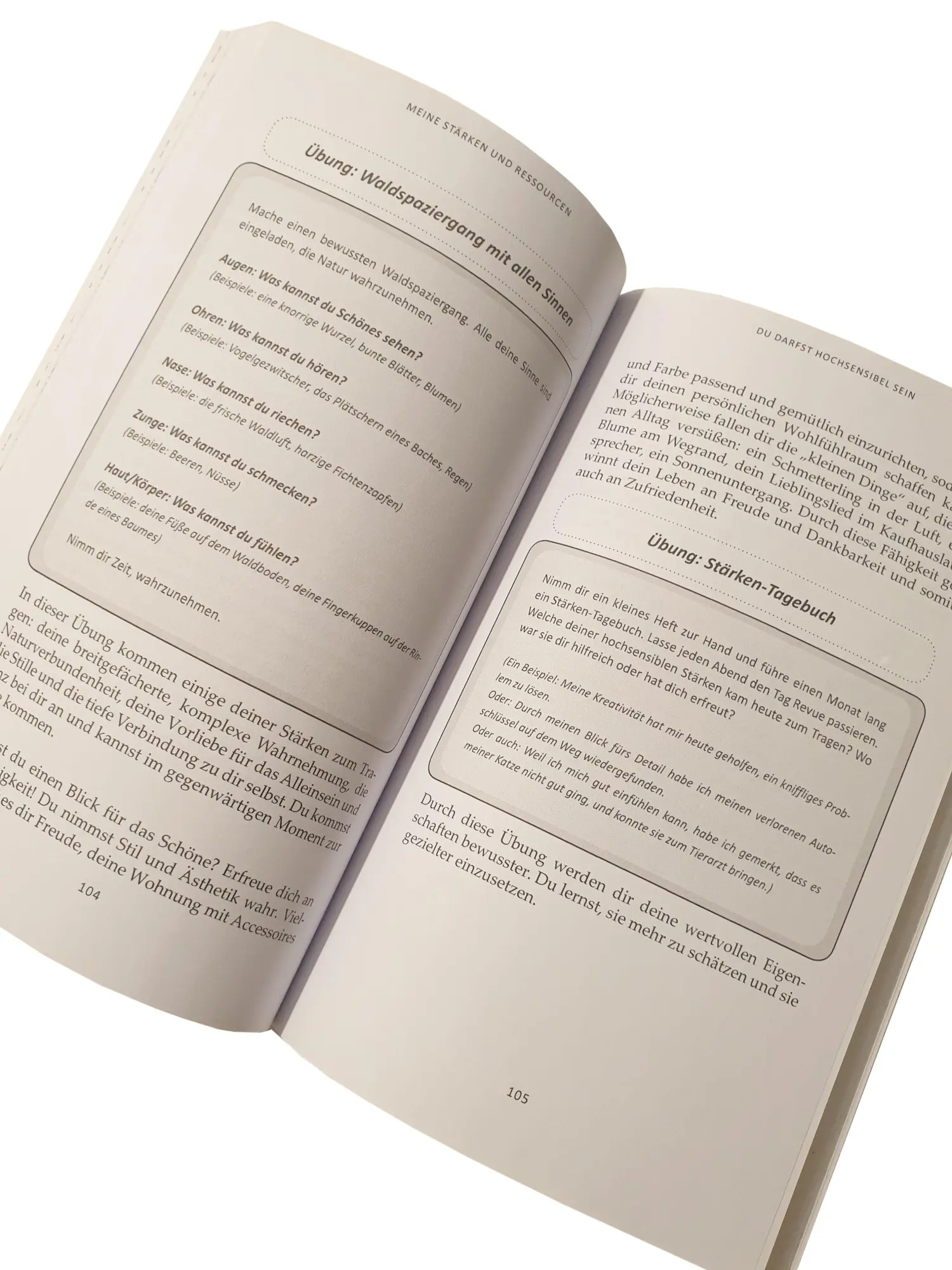 Bild: 9783949642128 | Du darfst hochsensibel sein. Praxisbuch zur Hochsensibilität | Rödl