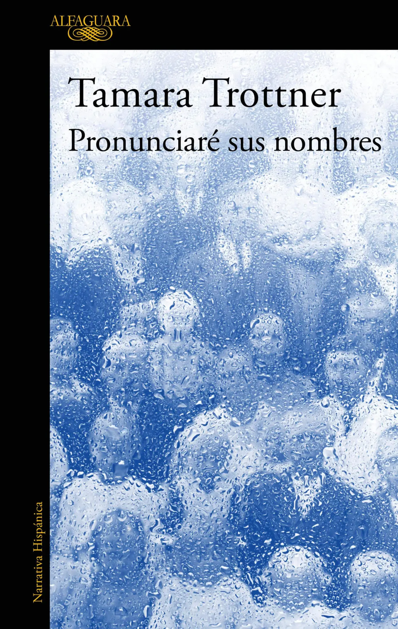 Cover: 9786073852128 | Pronunciaré Sus Nombres / I Will Say Their Names | Tamara Trottner