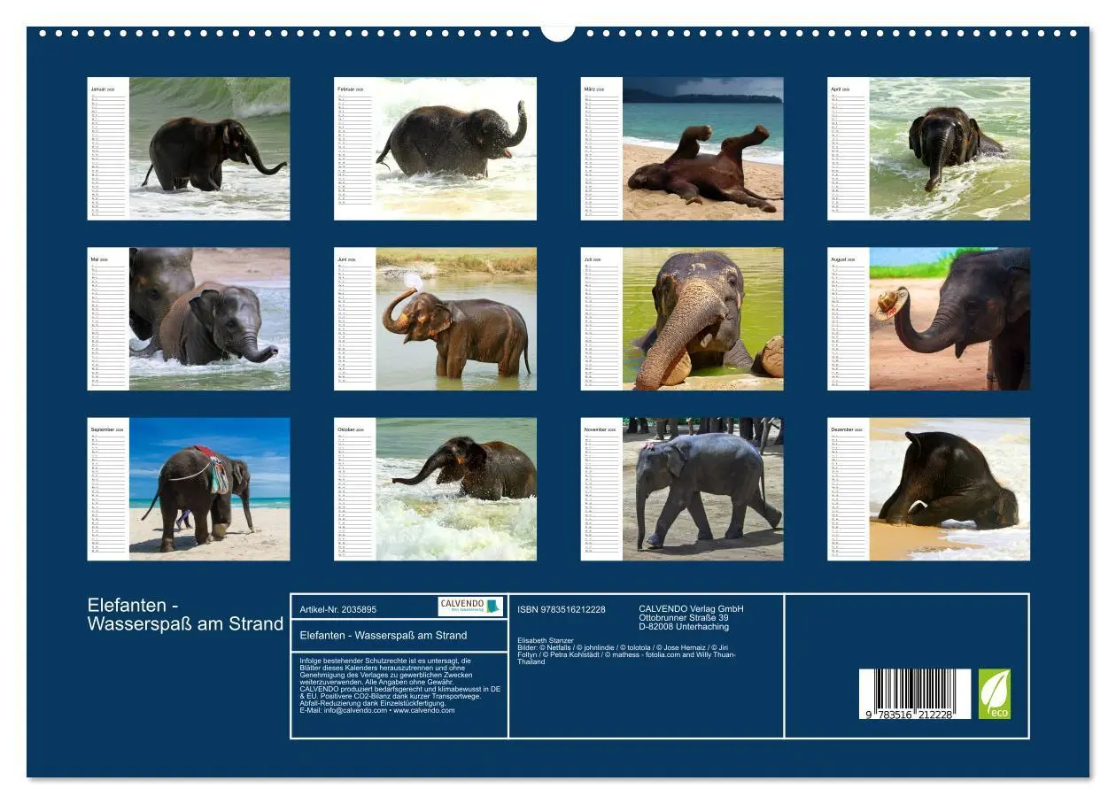 Bild: 9783516212228 | Elefanten - Wasserspaß am Strand (hochwertiger Premium Wandkalender...