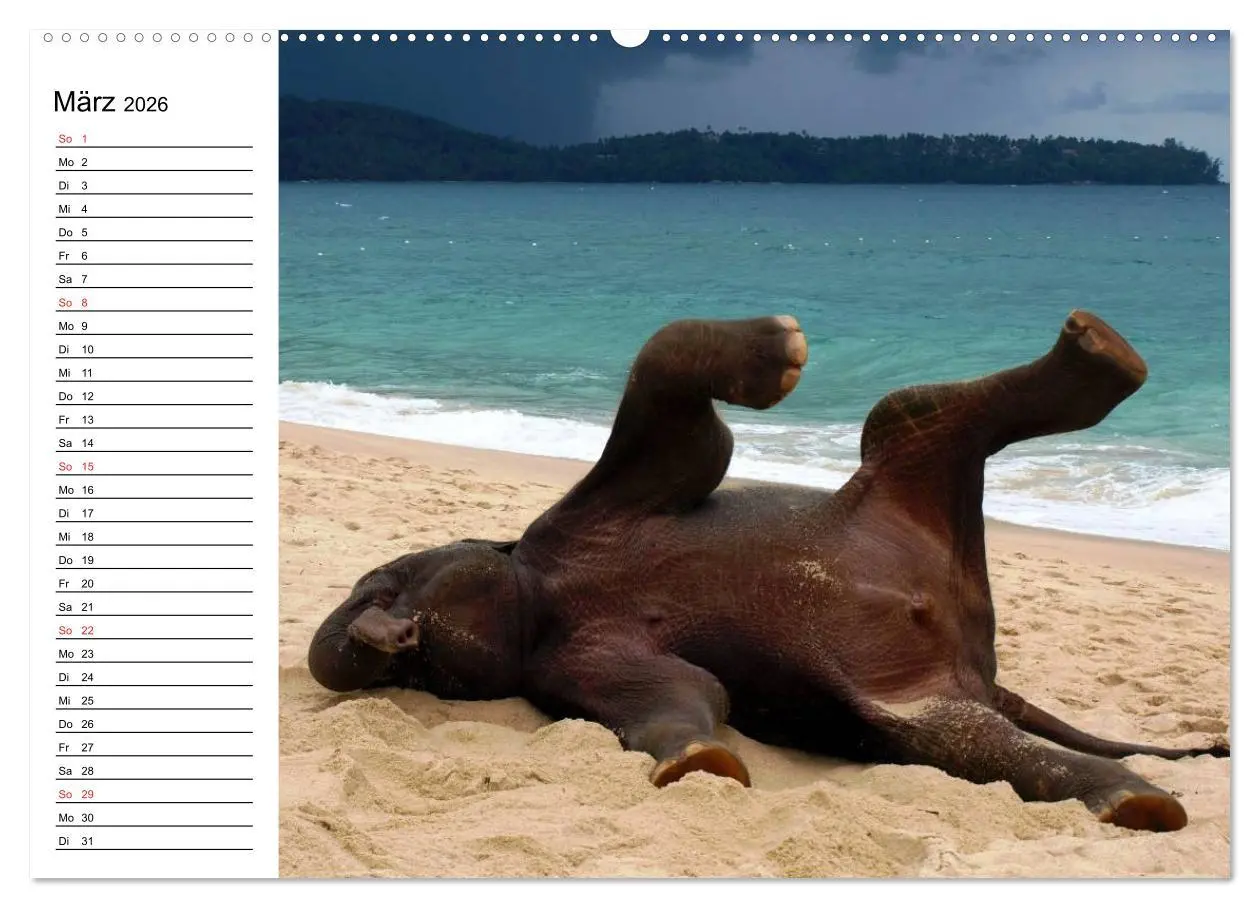 Bild: 9783516212228 | Elefanten - Wasserspaß am Strand (hochwertiger Premium Wandkalender...
