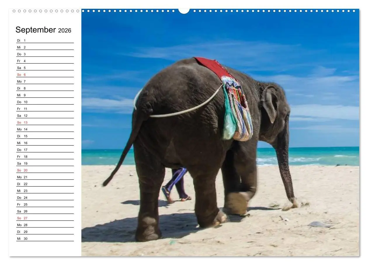 Bild: 9783516212228 | Elefanten - Wasserspaß am Strand (hochwertiger Premium Wandkalender...