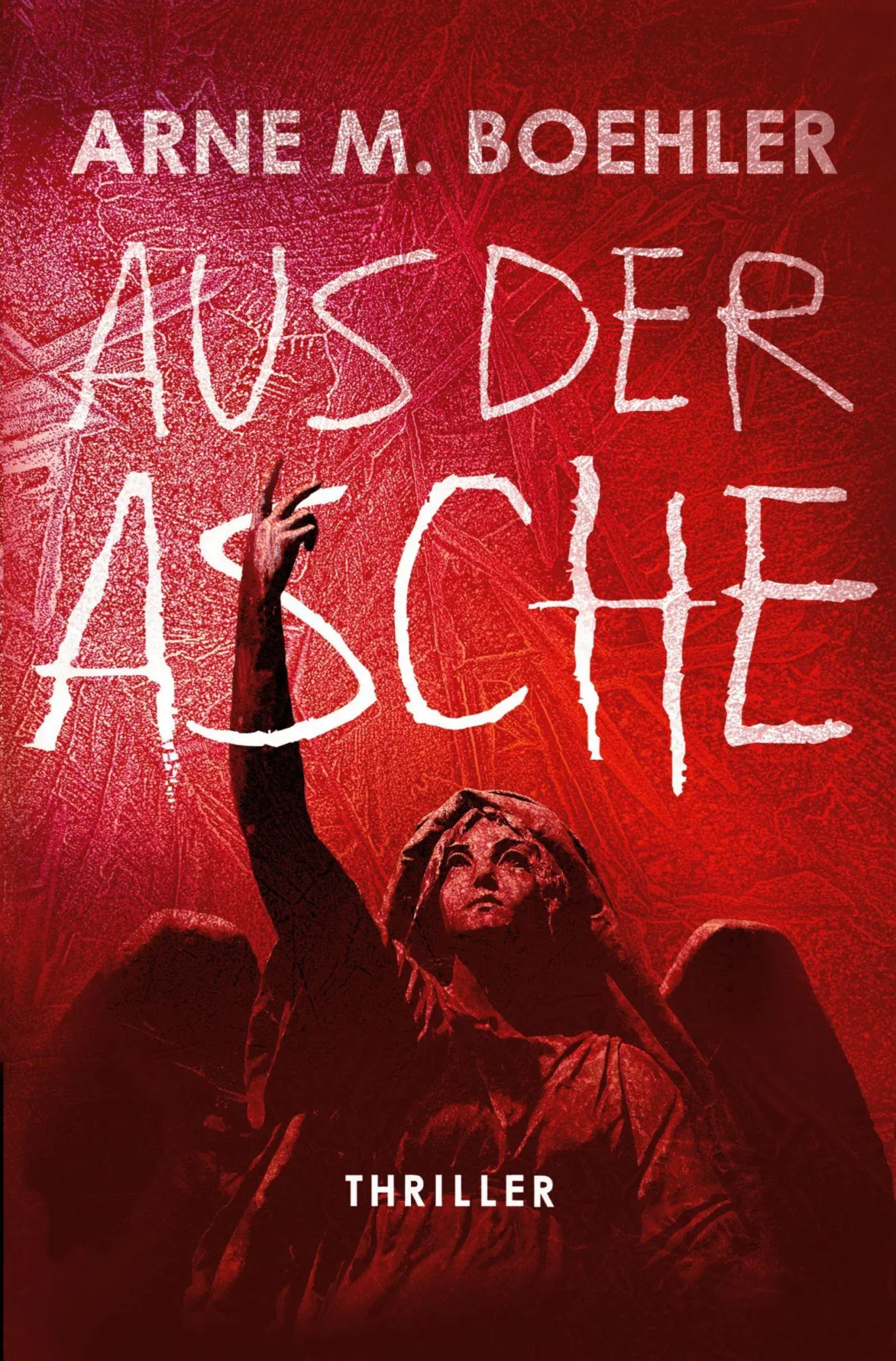 Cover: 9783695652228 | Aus der Asche | Arne M. Boehler | Taschenbuch | 308 S. | Deutsch