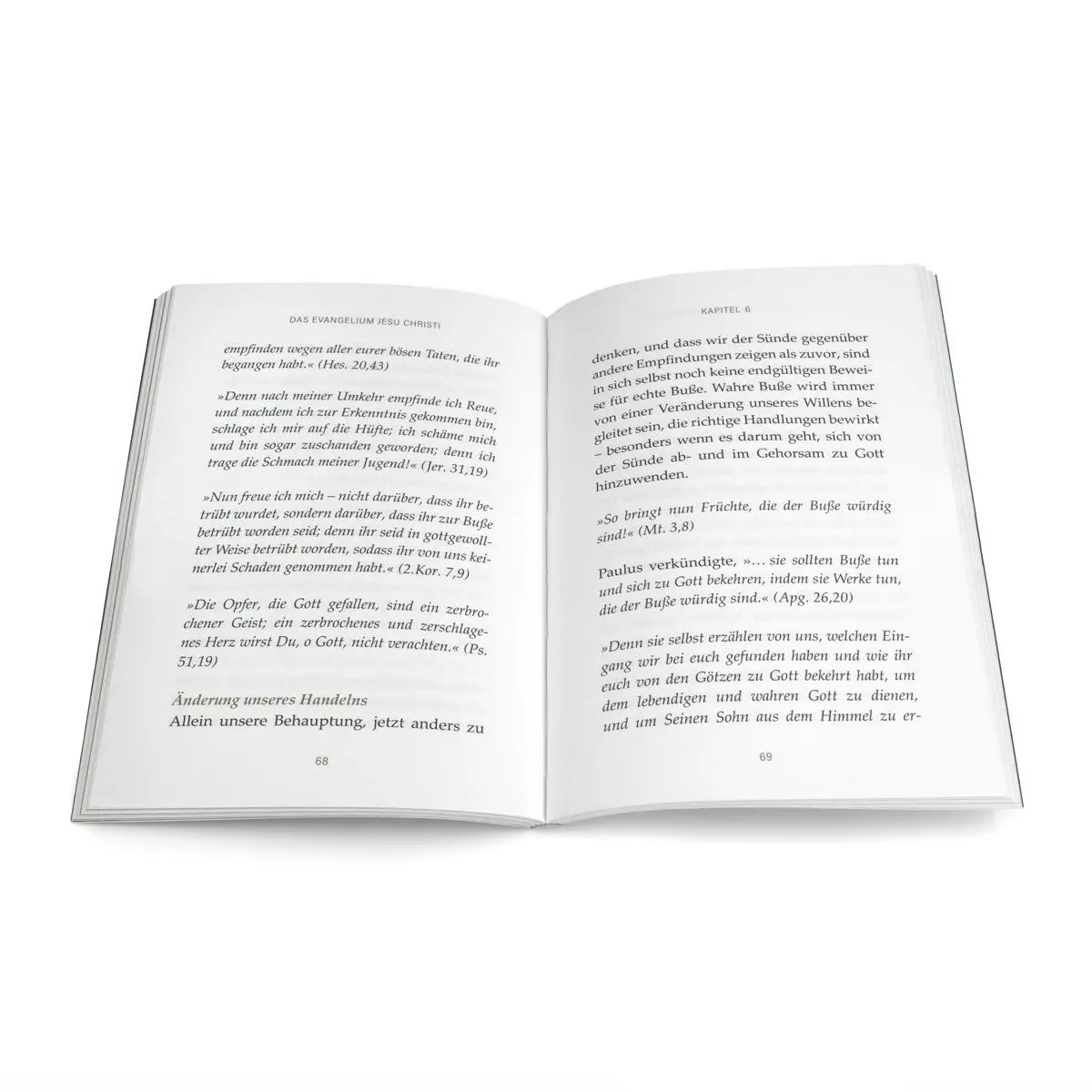 Bild: 9783947102228 | Das Evangelium Jesu Christi | Paul Washer | Taschenbuch | 116 S.