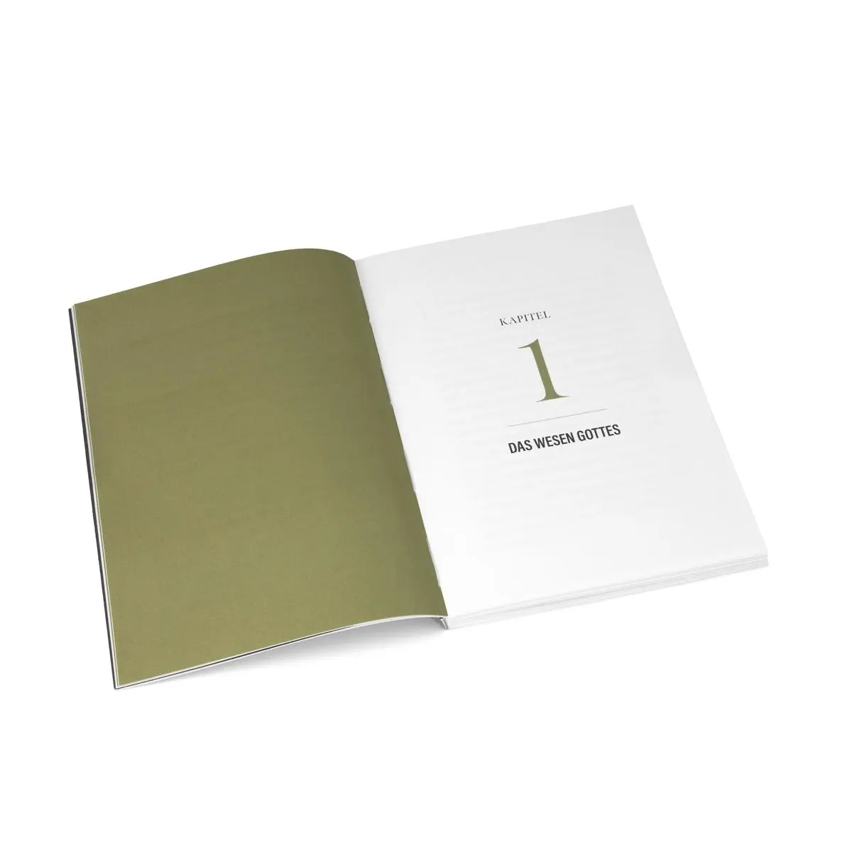 Bild: 9783947102228 | Das Evangelium Jesu Christi | Paul Washer | Taschenbuch | 116 S.