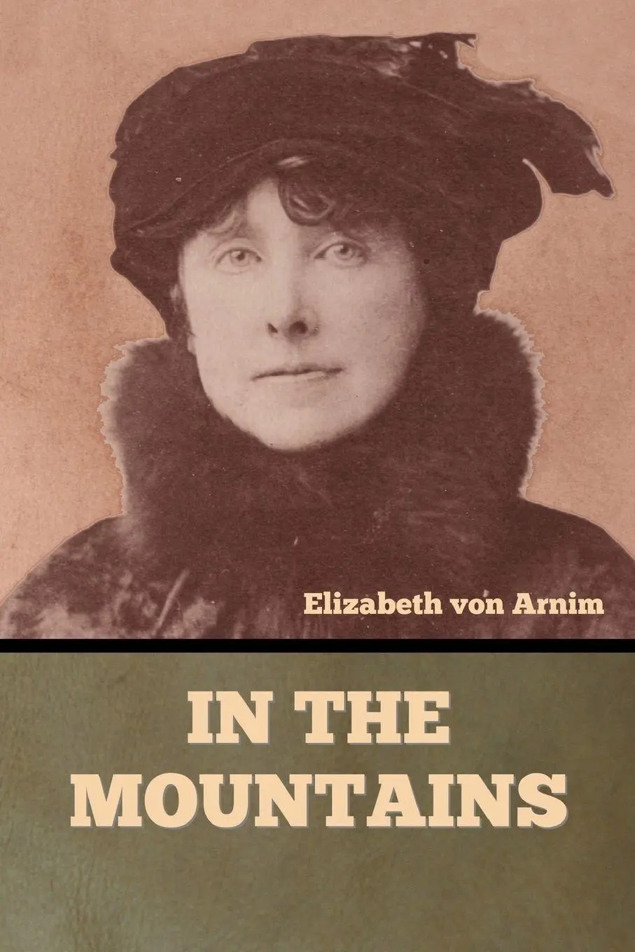 Cover: 9798889422228 | In the Mountains | Elizabeth von Arnim | Taschenbuch | Englisch | 2023