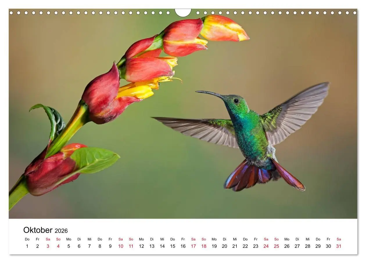 Bild: 9783516062328 | Kolibris - Juwelen der Lüfte (Wandkalender 2026 DIN A3 quer),...