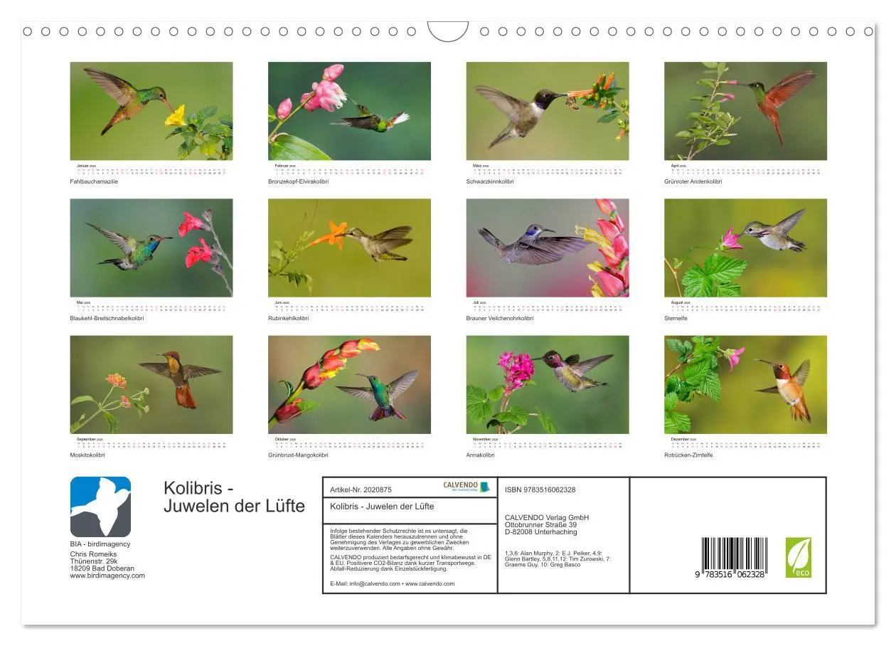 Bild: 9783516062328 | Kolibris - Juwelen der Lüfte (Wandkalender 2026 DIN A3 quer),...