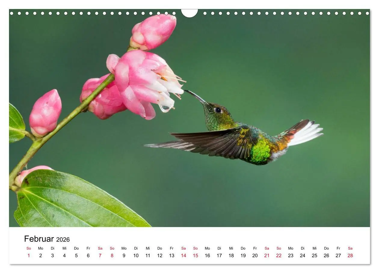 Bild: 9783516062328 | Kolibris - Juwelen der Lüfte (Wandkalender 2026 DIN A3 quer),...