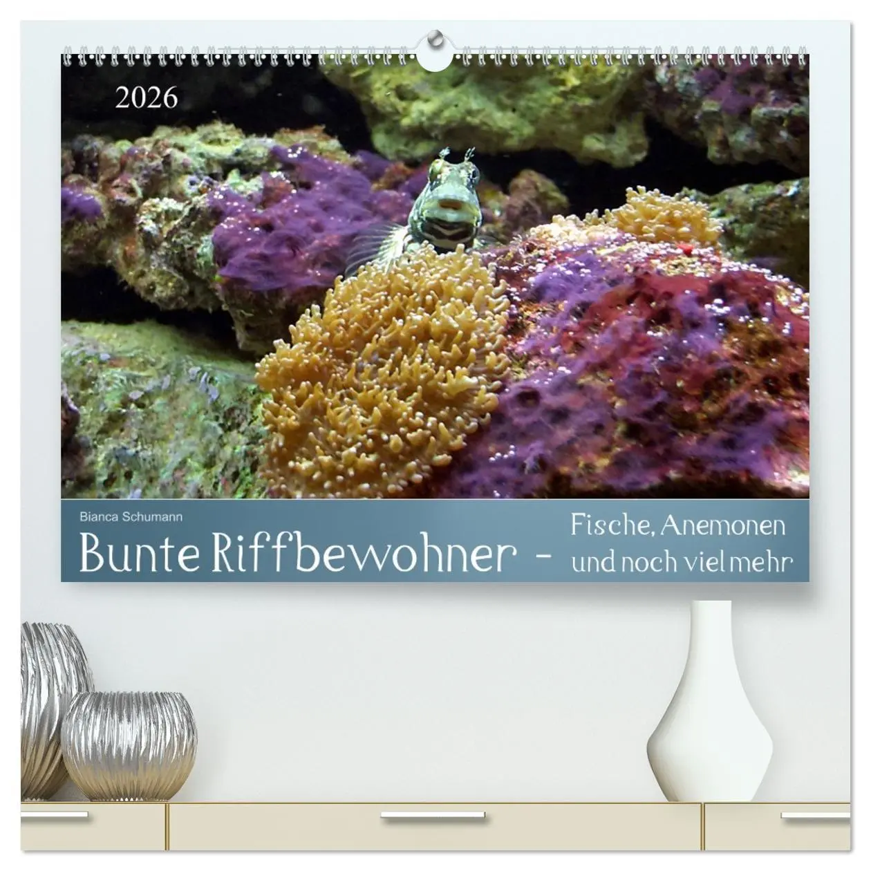 Cover: 9783516132328 | Bunte Riffbewohner - Fische, Anemonen und noch viel mehr...