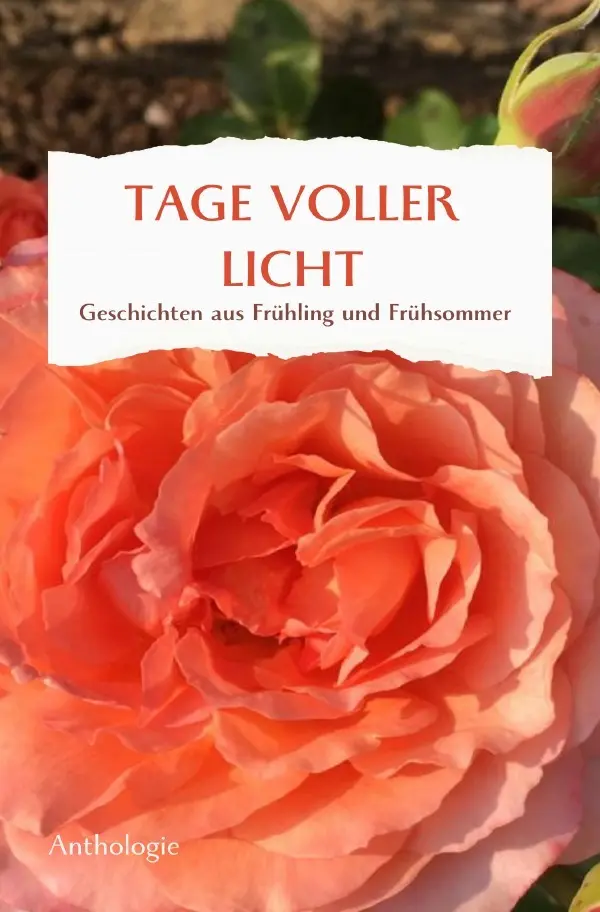 Cover: 9783759852328 | TAGE VOLLER LICHT | Geschichten aus Frühling und Frühsommer. DE | Buch