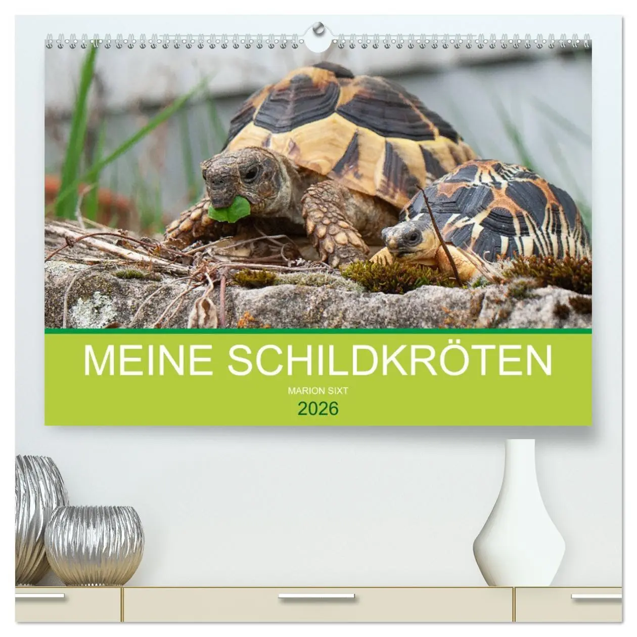 Cover: 9783457722428 | Meine Schildkröten (hochwertiger Premium Wandkalender 2026 DIN A2...