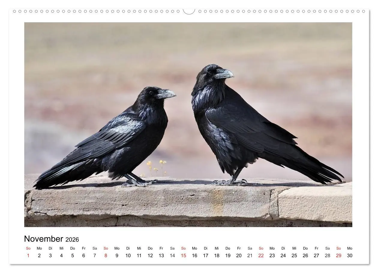 Bild: 9783457952528 | Heimische Gartenvögel - Gefiederte Freunde (Wandkalender 2026 DIN...