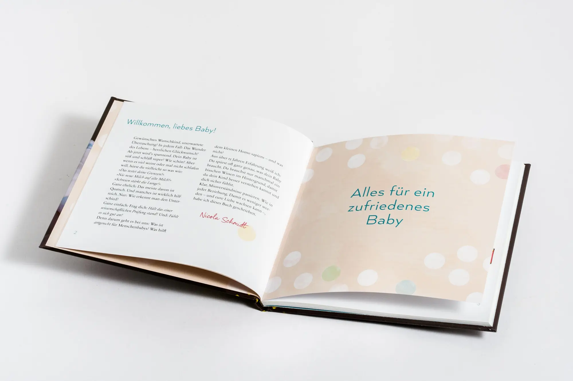 Bild: 9783466312528 | artgerecht - das kleine Baby-Buch | Nicola Schmidt | Buch | 64 S.