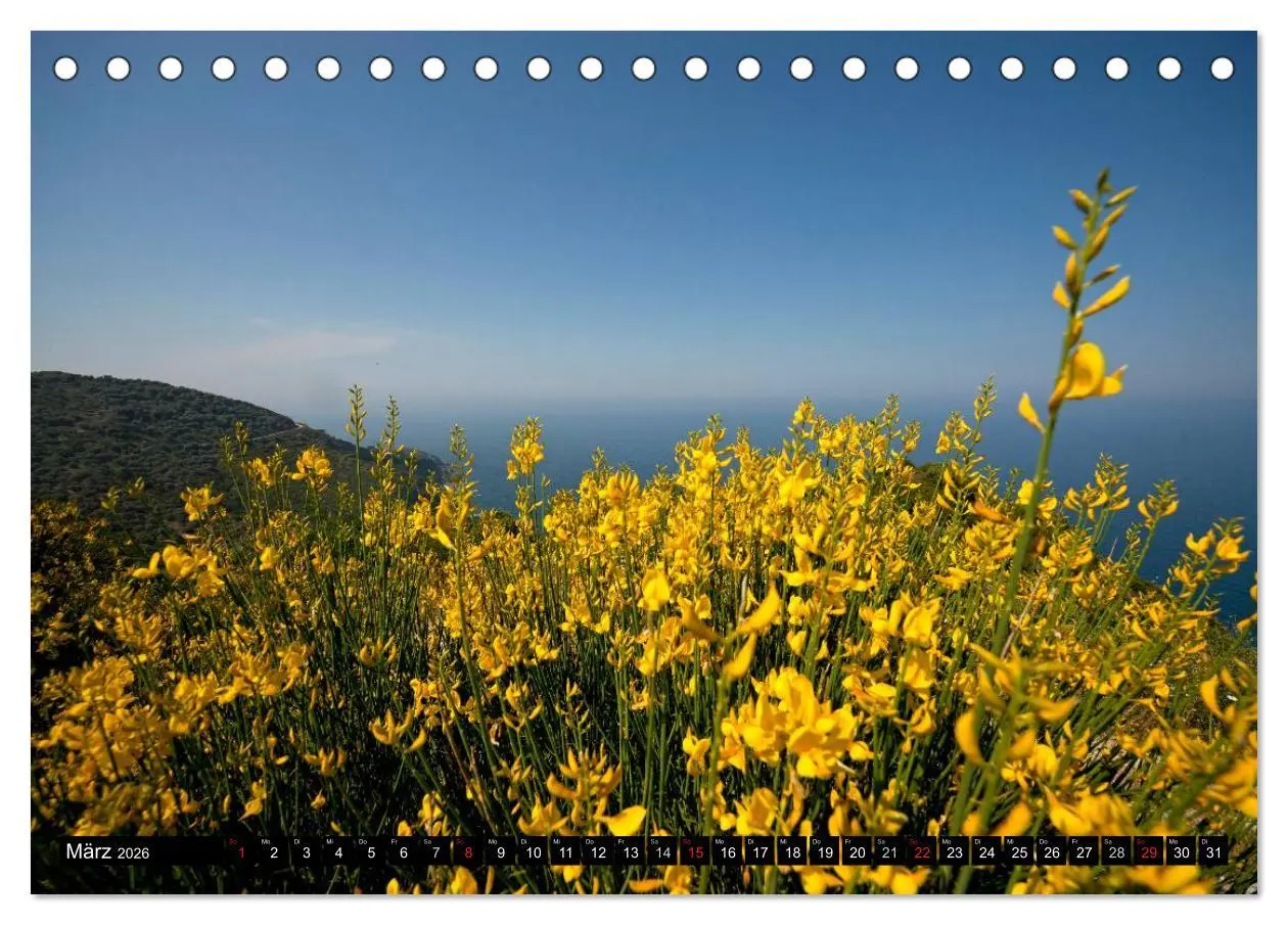 Bild: 9783516112528 | Skiathos + Skopelos (Tischkalender 2026 DIN A5 quer), CALVENDO...