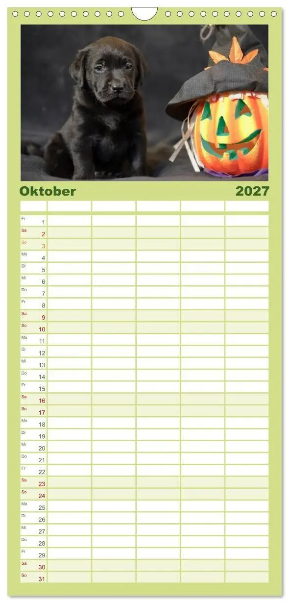 Bild: 9783594332528 | Familienplaner 2027 - Labrador Welpen mit 5 Spalten (Wandkalender,...