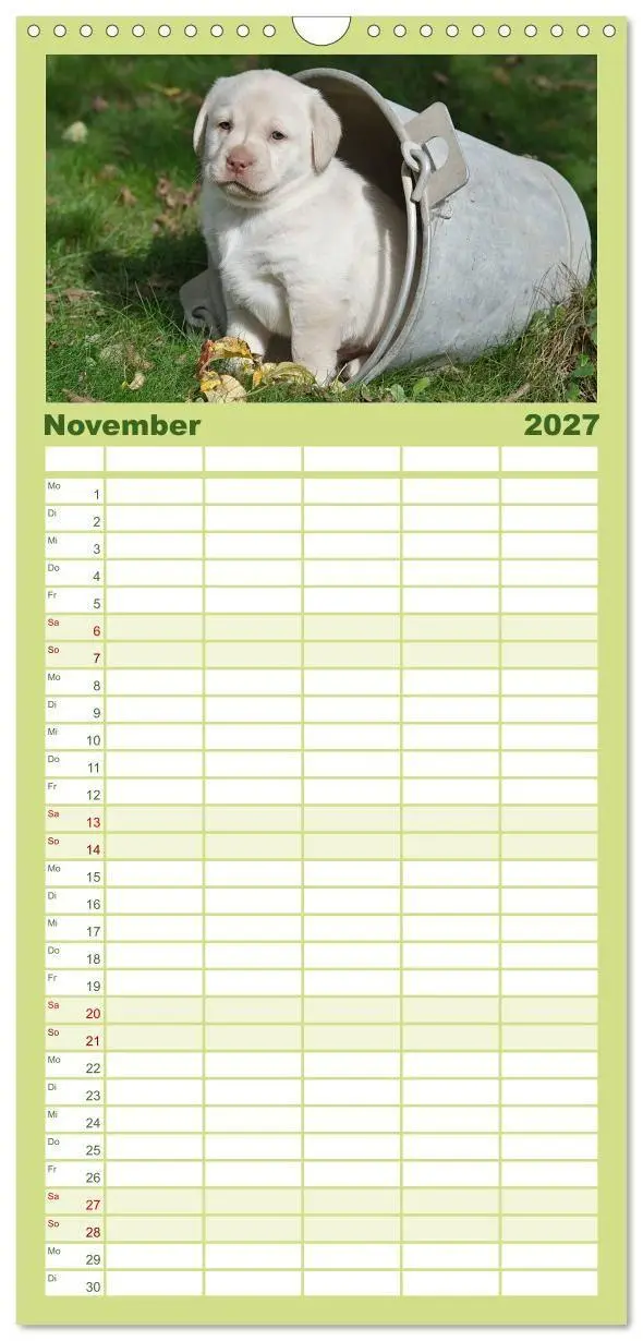 Bild: 9783594332528 | Familienplaner 2027 - Labrador Welpen mit 5 Spalten (Wandkalender,...