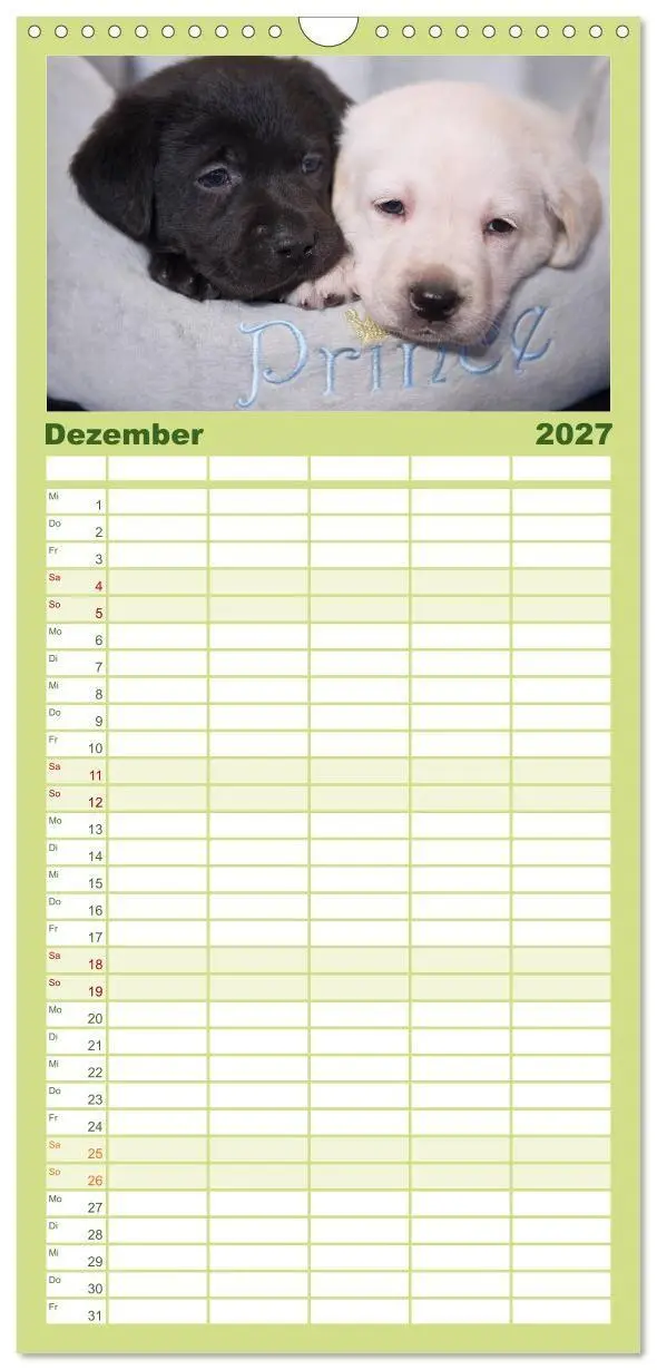 Bild: 9783594332528 | Familienplaner 2027 - Labrador Welpen mit 5 Spalten (Wandkalender,...