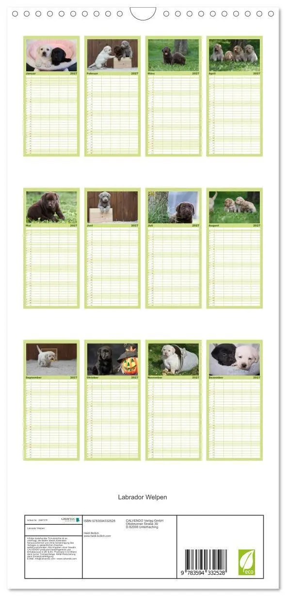 Bild: 9783594332528 | Familienplaner 2027 - Labrador Welpen mit 5 Spalten (Wandkalender,...