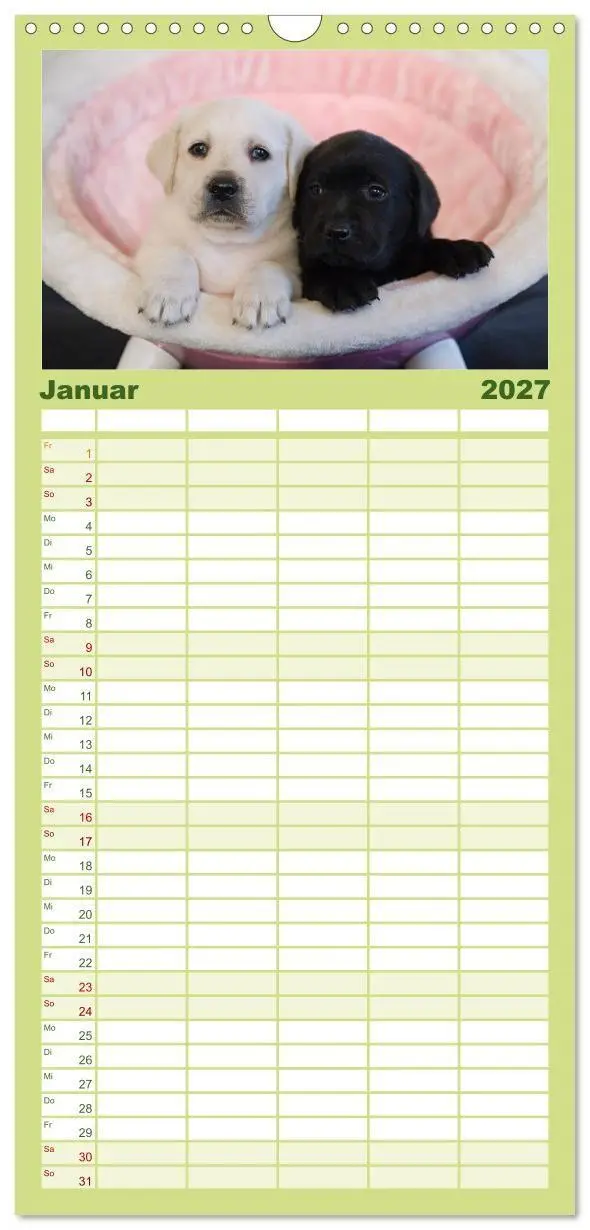 Bild: 9783594332528 | Familienplaner 2027 - Labrador Welpen mit 5 Spalten (Wandkalender,...