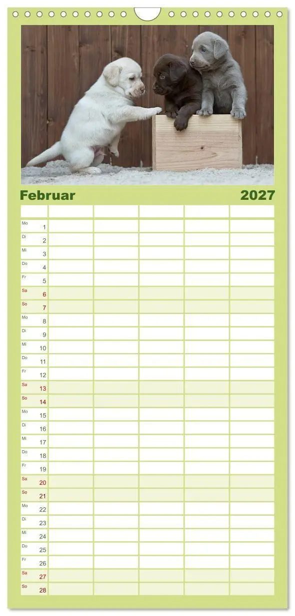 Bild: 9783594332528 | Familienplaner 2027 - Labrador Welpen mit 5 Spalten (Wandkalender,...