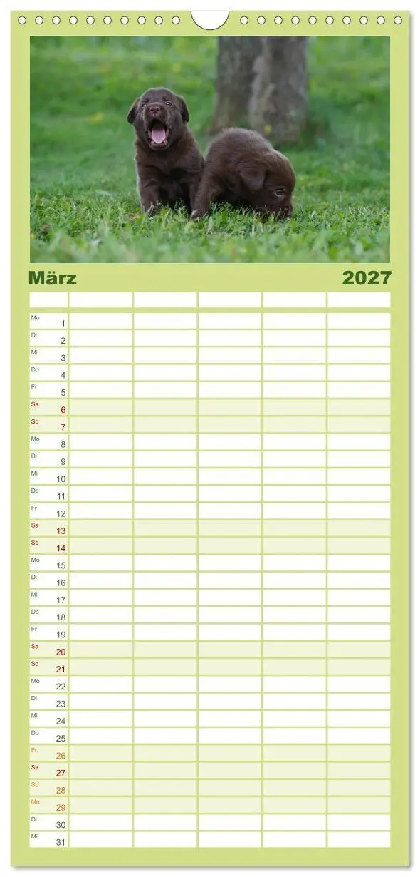 Bild: 9783594332528 | Familienplaner 2027 - Labrador Welpen mit 5 Spalten (Wandkalender,...