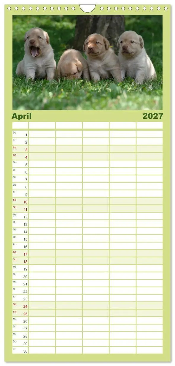 Bild: 9783594332528 | Familienplaner 2027 - Labrador Welpen mit 5 Spalten (Wandkalender,...